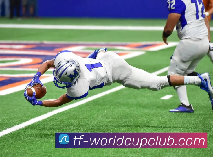 足球赛事投注平台生态图